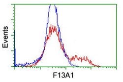 F13A1 Monoclonal Antibody (OTI6F5), TrueMAB , OriGene 100 &mu;L; Unconjugated:Antibodies,