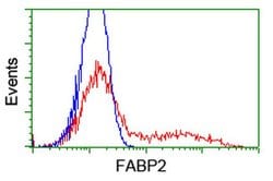 FABP2 Monoclonal Antibody (OTI1B2), TrueMAB , OriGene 100 &mu;L; Unconjugated:Antibodies,