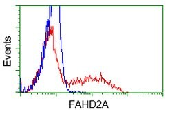 FAHD2A Mouse anti-Human, Clone: OTI5D4, lyophilized, TrueMAB 100 &mu;g;