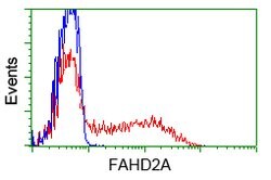 FAHD2A Mouse anti-Human, Clone: OTI5D5, lyophilized, TrueMAB 100 &mu;g;