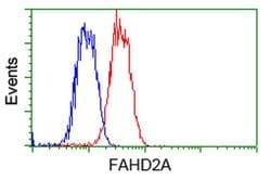 FAHD2A Monoclonal Antibody (OTI6D9), TrueMAB , OriGene 30 &mu;L; Unconjugated:Antibodies,