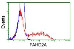 FAHD2A Mouse anti-Human, Clone: OTI9D4, lyophilized, TrueMAB 100 &mu;g;