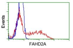 FAHD2A Monoclonal Antibody (OTI5A7), TrueMAB , OriGene 100 &mu;L; Unconjugated:Antibodies,