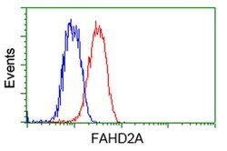FAHD2A Monoclonal Antibody (OTI7C9), TrueMAB , OriGene 100 &mu;L; Unconjugated:Antibodies,