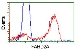 FAHD2A Mouse anti-Human, Clone: OTI9G1, lyophilized, TrueMAB 100 &mu;g;