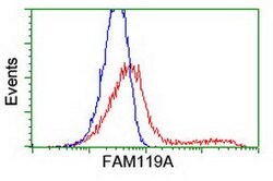 FAM119A Mouse anti-Human, Clone: OTI2G7, lyophilized, TrueMAB 100 &mu;g;
