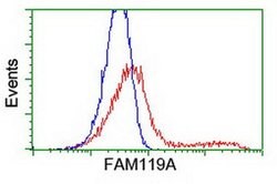 FAM119A Monoclonal Antibody (OTI2G7), TrueMAB , OriGene 100 &mu;L | Buy Online | OriGene | Fisher Scientific