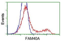 FAM40A Monoclonal Antibody (OTI7B8), TrueMAB , OriGene 100 &mu;L; Unconjugated:Antibodies,