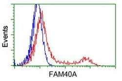 FAM40A Mouse anti-Canine, Human, Rat, Clone: OTI7G7, lyophilized, TrueMAB