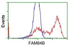 FAM84B Mouse anti-Human, Clone: OTI4A4, TrueMAB , Origene 30 &mu;L; Unconjugated:Antibodies,