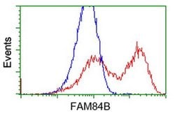 FAM84B Monoclonal Antibody (OTI2E7), TrueMAB , OriGene:Antibodies:Primary