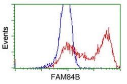 FAM84B Mouse anti-Human, Clone: OTI5A9, lyophilized, TrueMAB 100 &mu;g;