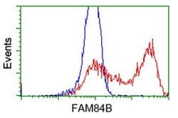FAM84B Monoclonal Antibody (OTI5A9), TrueMAB , OriGene:Antibodies:Primary