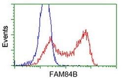 FAM84B Mouse anti-Human, Clone: OTI10F2, lyophilized, TrueMAB 100 &mu;g;