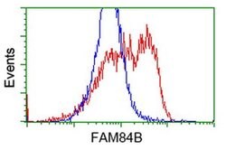 FAM84B Monoclonal Antibody (OTI10A2), TrueMAB , OriGene 100 &mu;L; Unconjugated:Antibodies,