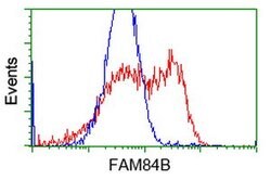 FAM84B Mouse anti-Human, Clone: OTI5B5, lyophilized, TrueMAB 100 &mu;g;