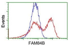 FAM84B Monoclonal Antibody (OTI5G5), TrueMAB , OriGene 100 &mu;L; Unconjugated:Antibodies,