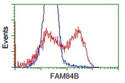 FAM84B Monoclonal Antibody (OTI2E9), TrueMAB , OriGene:Antibodies:Primary