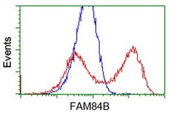 FAM84B Mouse anti-Human, Clone: OTI5G1, lyophilized, TrueMAB 100 &mu;g;