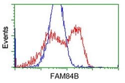 FAM84B Monoclonal Antibody (OTI5A7), TrueMAB , OriGene 30 &mu;L; Unconjugated:Antibodies,