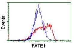 FATE1 Monoclonal Antibody (OTI5E2), TrueMAB , OriGene 30 &mu;L; Unconjugated:Antibodies,