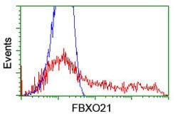 FBXO21 Mouse anti-Human, Clone: OTI1E1, lyophilized, TrueMAB 100 &mu;g;
