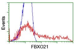 FBXO21 Monoclonal Antibody (OTI1E1), TrueMAB , OriGene:Antibodies:Primary