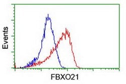 FBXO21 Mouse anti-Human, Clone: OTI1E1, lyophilized, TrueMAB 100 &mu;g;
