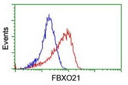 FBXO21 Monoclonal Antibody (OTI1E1), TrueMAB , OriGene 100 &mu;L; Unconjugated:Antibodies,