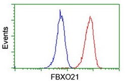 FBXO21 Mouse anti-Human, Clone: OTI1E1, lyophilized, TrueMAB 100 &mu;g;