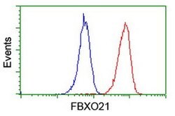 FBXO21 Monoclonal Antibody (OTI1E1), TrueMAB , OriGene 100 &mu;L; Unconjugated:Antibodies,