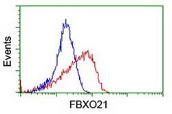 FBXO21 Monoclonal Antibody (OTI3C11), TrueMAB , OriGene 100 &mu;L; Unconjugated:Antibodies,