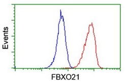 FBXO21 Monoclonal Antibody (OTI3C11), TrueMAB , OriGene 100 &mu;L; Unconjugated:Antibodies,