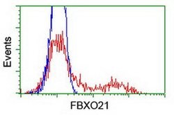 FBXO21 Monoclonal Antibody (OTI6C10), TrueMAB , OriGene 30 &mu;L; Unconjugated:Antibodies,