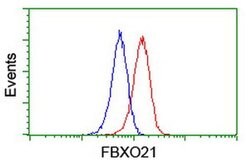 FBXO21 Monoclonal Antibody (OTI6C10), TrueMAB , OriGene 30 &mu;L; Unconjugated:Antibodies,