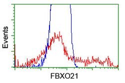FBXO21 Mouse anti-Canine, Human, Mouse, Rat, Clone: OTI2C7, lyophilized,