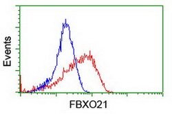 FBXO21 Mouse anti-Canine, Human, Mouse, Rat, Clone: OTI2C7, lyophilized,