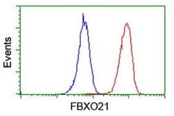 FBXO21 Monoclonal Antibody (OTI2C7), TrueMAB , OriGene:Antibodies:Primary