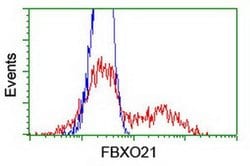 FBXO21 Monoclonal Antibody (OTI2B8), TrueMAB , OriGene 100 &mu;L; Unconjugated:Antibodies,