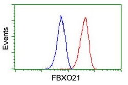 FBXO21 Monoclonal Antibody (OTI2B8), TrueMAB , OriGene 100 &mu;L; Unconjugated:Antibodies,