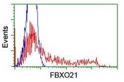 FBXO21 Mouse anti-Human, Mouse, Rat, Clone: OTI5H4, lyophilized, TrueMAB