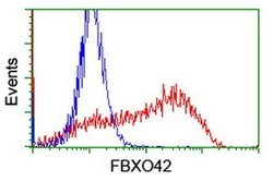 FBXO42 Monoclonal Antibody (OTI1G6), TrueMAB , OriGene:Antibodies:Primary