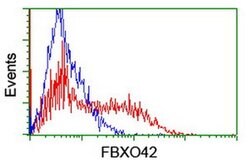 FBXO42 Monoclonal Antibody (OTI1C1), TrueMAB , OriGene 100 &mu;L; Unconjugated:Antibodies,