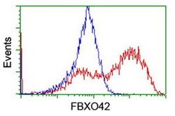 FBXO42 Mouse anti-Human, Clone: OTI1H4, liquid, TrueMAB 100 &mu;L; Unconjugated:Antibodies,