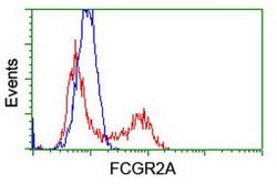 FCGR2A Mouse anti-Human, Clone: OTI13G9, lyophilized, TrueMAB 100 &mu;g;