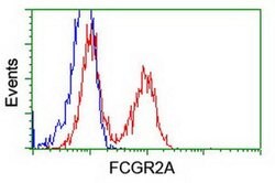 FCGR2A Mouse anti-Human, Clone: OTI16D6, liquid, TrueMAB 100 &mu;L; Unconjugated:Antibodies,