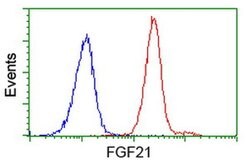 FGF21 Monoclonal Antibody (OTI4B2), TrueMAB , OriGene:Antibodies:Primary