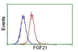 FGF21 Monoclonal Antibody (OTI1B4), TrueMAB , OriGene 30 &mu;L; Unconjugated:Antibodies,