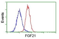 FGF21 Monoclonal Antibody (OTI3E5), TrueMAB , OriGene 30 &mu;L; Unconjugated:Antibodies,