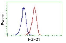 FGF21 Monoclonal Antibody (OTI3E5), TrueMAB , OriGene:Antibodies:Primary